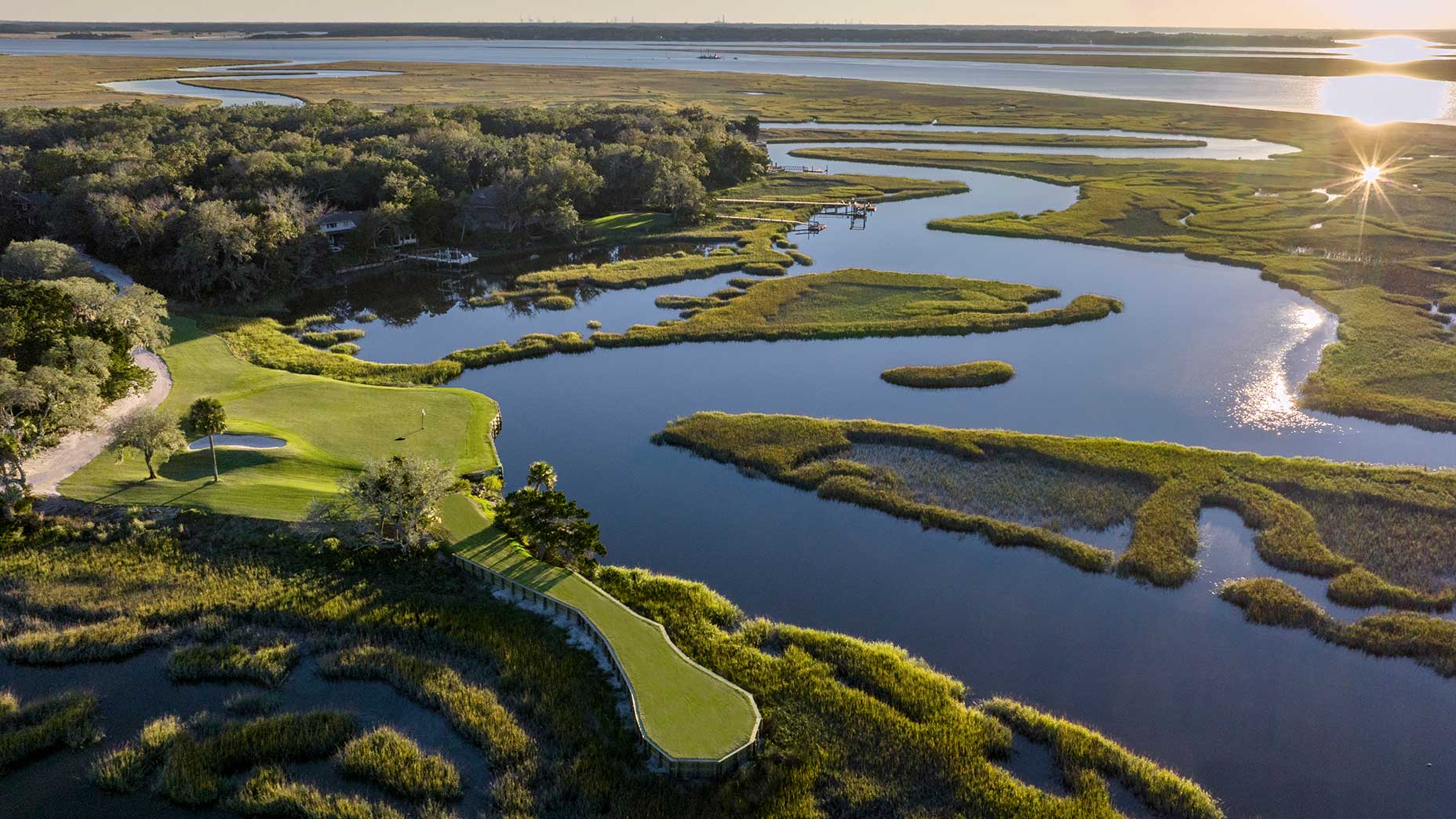 oak marsh in florida