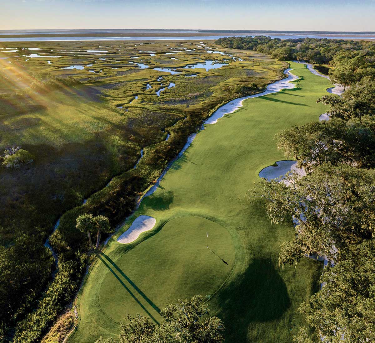 oak marsh in florida