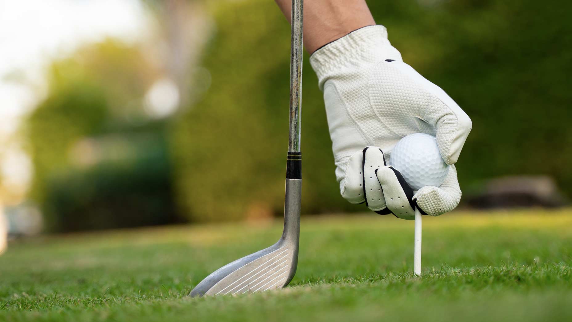 golfer tees up golf ball next to driver